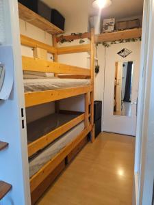 Appartements Studio au pied des pistes refait a neuf : photos des chambres
