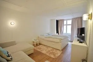 Cozy City Center, 4 bedroom- 120sq, 5min walk to Main Station - Bottmingen