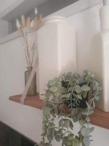 Appartements Studio SIMONE, a 2 pas de la plage : photos des chambres