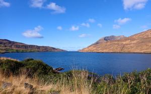 Otter Hostel Connemara