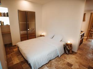 Maisons de vacances Studio cosy en pleine nature avec animaux admis et parking prive - FR-1-590-565 : photos des chambres