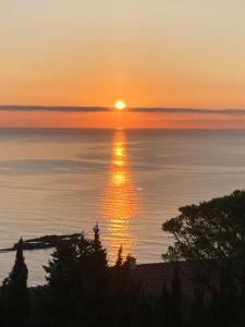 Villas Vamos a la playa - Cote mer : photos des chambres