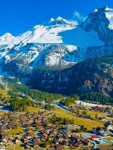 Cute & cozy oasis, private afternoon sun terrace