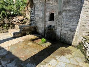 Guest House Pafili