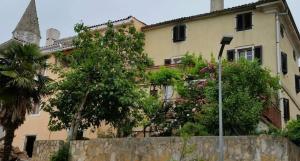 Unter dem Feigenbaum! Gartenstudio