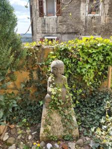 Unter dem Feigenbaum! Gartenstudio