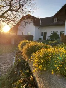 Penzion Korálek - Javorník