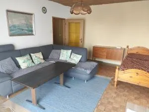 Traun Apartment - Linz