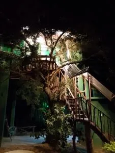 yala treetop lake - 基林德