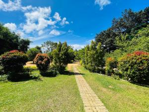yala treetop lake