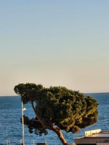 Juan-Les-Pins centre