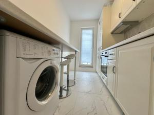 Cosmopolis - Anturium Studio