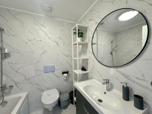 Cosmopolis - Anturium Studio