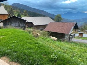 Chalets La Dolce Vita Chalet : photos des chambres