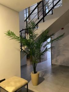 Hotel HVD Inn Cabecera