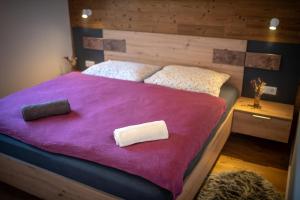 Alpenappartment Spital am Pyhrn