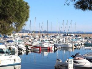 Appartements Appartement 2 pieces avec terrasse et piscine, La Londe-les-Maures - FR-1-826-9 : photos des chambres