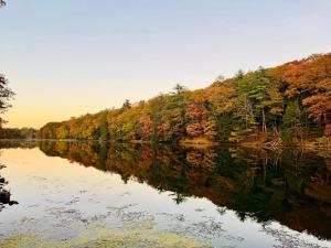 Peaceful Catskills Creek House - 4hvězdičkové hotely ve městě Saugerties
