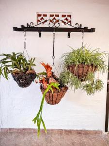 Elena Coffee Hostel Lago Calima Darién