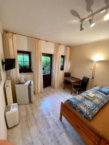 Pet friendly apartment