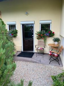 Pet friendly apartment