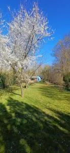 Cabane bleue des Hortillonnages - Camon