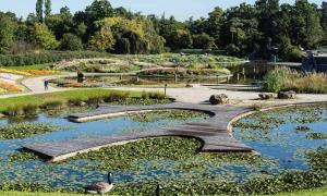 Appartements Charming 45m2 apartment : photos des chambres