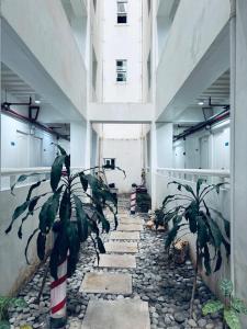 Smart Stay 2600 - Solo Condo Studio Units