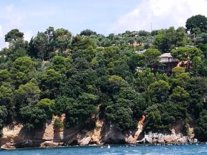 Condominio Bouganville