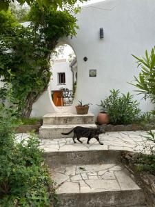 Maisons de vacances Mas renove par un architecte : photos des chambres
