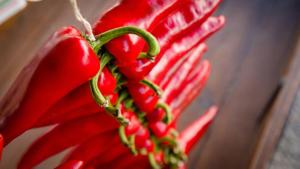 Appartements Appartement entre Mer & Montagne, a la campagne : photos des chambres