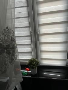 Smart-Apt Comfortable apartment in the center of Katowice