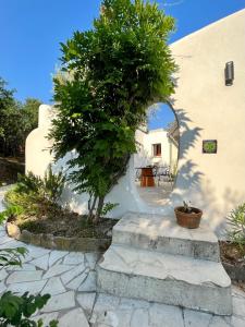 Mas rénové par un architecte