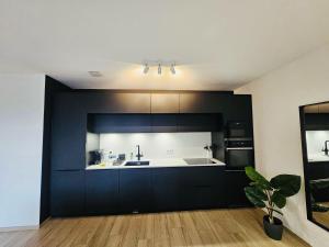 Serene 2 bedroom flat with private terrace-CD10