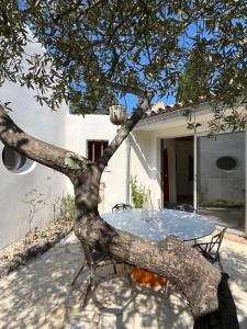 Maisons de vacances Mas renove par un architecte : photos des chambres