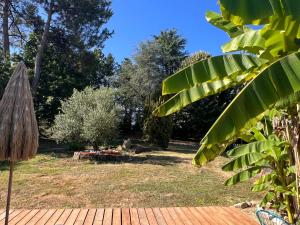 Villas La Villa - Piscine - Billard : photos des chambres