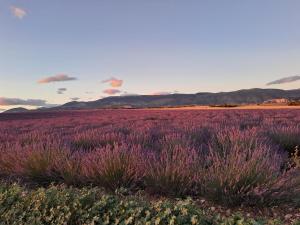 Maisons de vacances Locations LAC VERDON Climatisation : photos des chambres