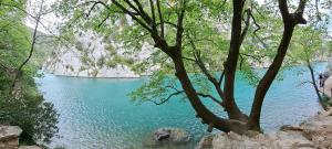 Maisons de vacances Locations LAC VERDON Climatisation : photos des chambres