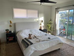 beachside condo in the heart of Bird Rock La Jolla