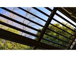 Le Nessa Akazawa - Vacation STAY 16382v