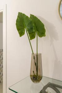 Cocciu d’Amuri Home