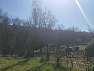 La Sousto Du Lac Sauvage