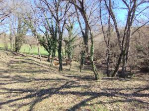 Villas La Sousto Du Lac Sauvage : photos des chambres