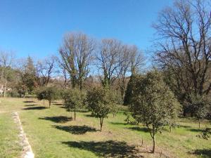 Villas La Sousto Du Lac Sauvage : photos des chambres