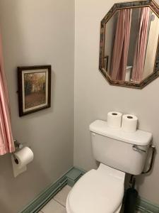 Iniscealtra Mini Bedsit Studio