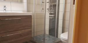 Appartements Gite Les Oyats : Cottage (5 Adultes)