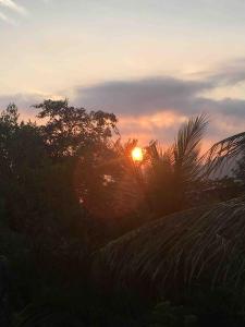 Eco Lodge in nature -10 min to Paraty centerl