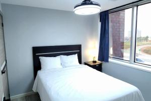 Modern High-Rise Apartment - 3