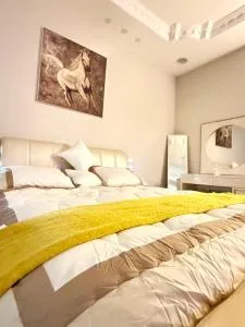 استديو كبير وجلسه جانبيه - Al Qā‘id