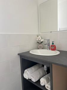Appartements Appartement moderne et spacieux 4 : photos des chambres